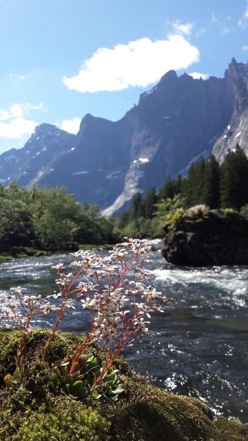Trollveggen Camping Åndalsnes Εξωτερικό φωτογραφία